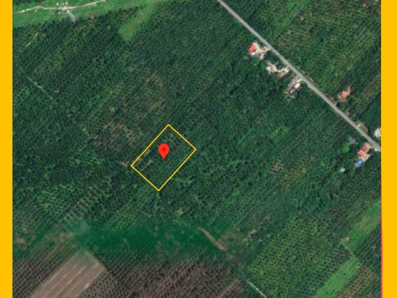 Tanah Kelapa Sawit Labu Kubong, Chenderong Balai utk Dijual