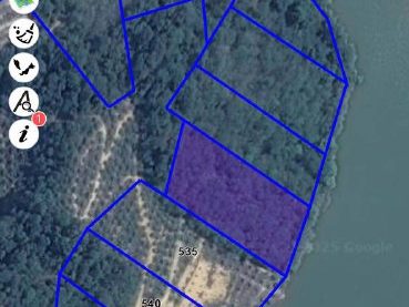 Tanah Pertanian Bukit Paya Sasak Kuantan Pahang