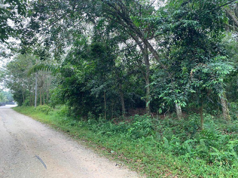 5.98 Ekar Tanah Bebas Bumi Lot - Serkam, #melaka