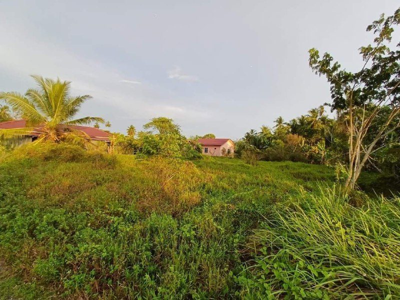 Tanah Sawah 8,019 Kaki Persegi Pajak Song, Seberang Perai Utara, Pulau Pinang