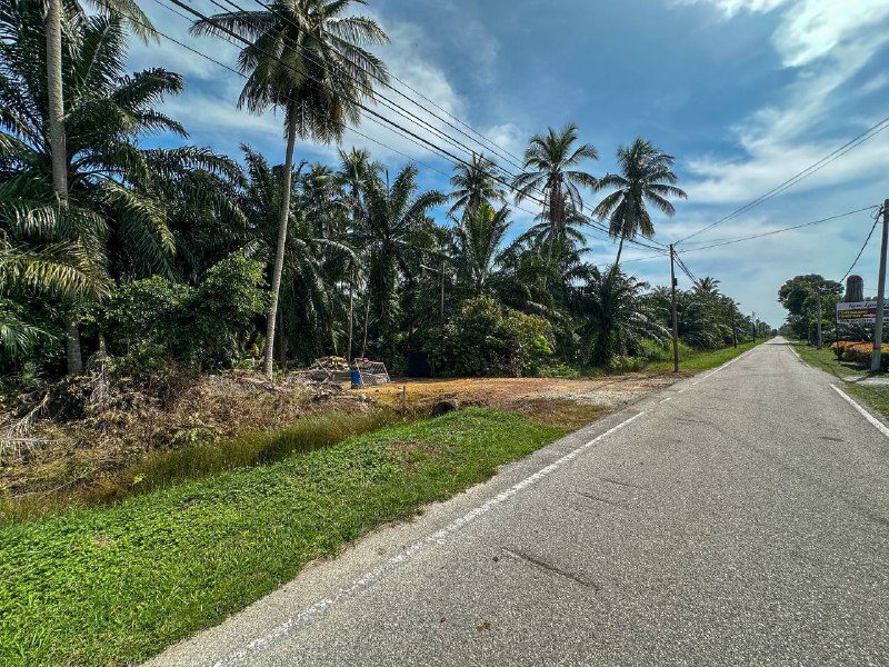 Tanah Pertanian 3 Ekar Sungai Pelek, Sepang, Selangor