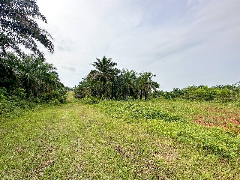 Lot Banglo Kampung Tersusun Melaka Pindah, Alor Gajah