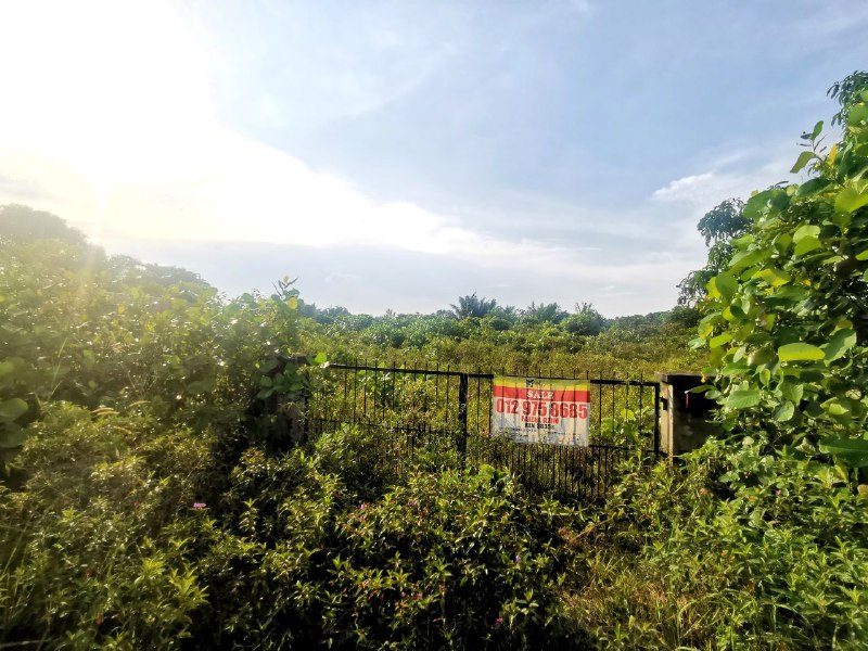 Tanah Tanaman Kekal (industri) , Labu Lanjut, Sepang, Selangor