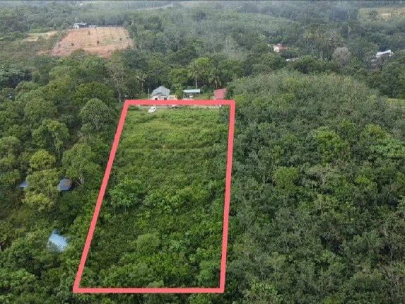 Tanah Pertanian 1.243 Ekar Freehold Brisu AlorGajah Melaka