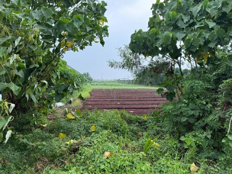 Tanah 1 Ekar Di Johan Setia, Klang, Selangor Untuk Dijual