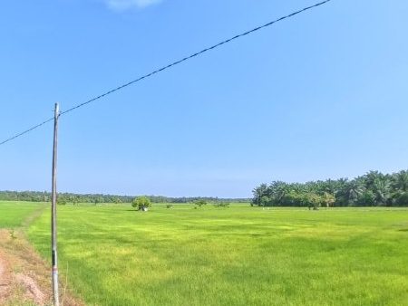 Tanah Bendang 1 Ekar Pokok Jenereh, Kepala Batas, Pulau Pinang