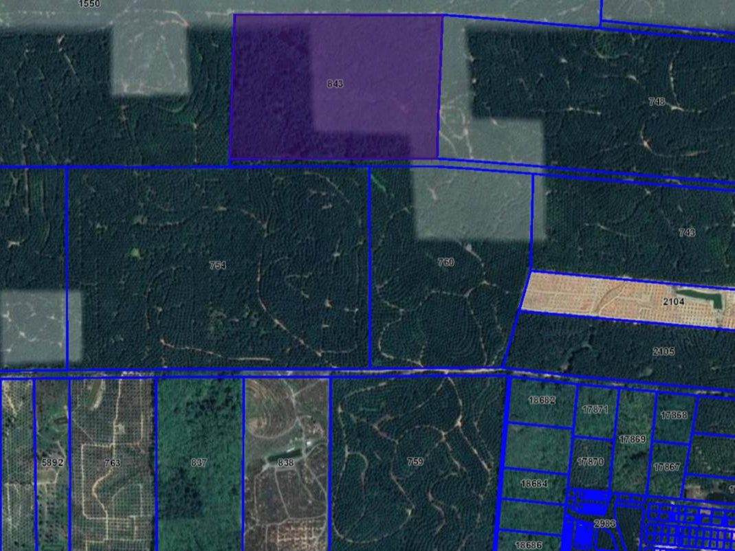 Tanah Status Perumahan Temerloh Pahang 24.5 Ekar Freehold Lokasi Strategik