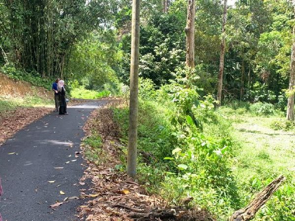 Dusun Durian 1.515 Ekar Peradong, Kuala Klawang, Jelebu