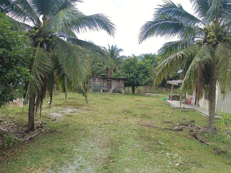 Tanah 1.9677 Ekar Tepi Jalan Besar Gadong Jaya, Labu, Seremban