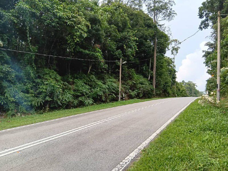 Tanah Pertanian 2 Ekar Tepi Jalan Besar Di Inas, Johol, Kuala Pilah Untuk Dijual