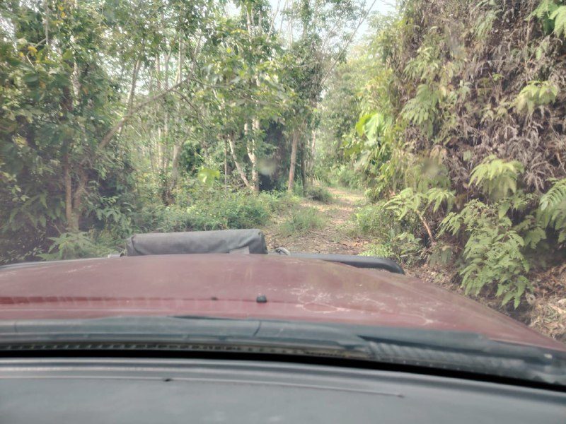 Tanah Pertanian 3.4 Ekar Di Juasseh Tengah, Kuala Pilah Untuk Dijual