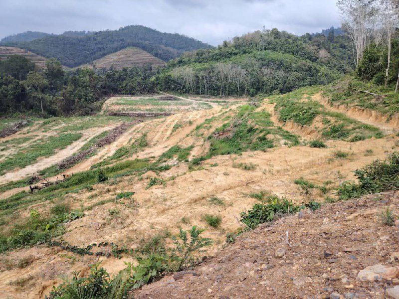 Tanah Pertanian 2.8 Ekar Di Jemapoh, Kuala Pilah Untuk Dijual