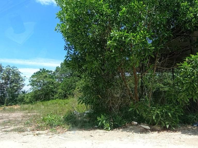 Tanah Kediaman 2 Lot Bukit Kerayong Kapar Puncak Alam 5500 Sqft Geran Individu
