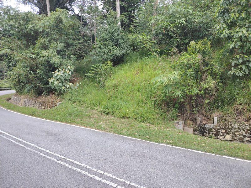 Tanah Pertanian 3 Ekar Tepi Jalan Besar Di Juasseh Tengah, Kuala Pilah Untuk Dijual