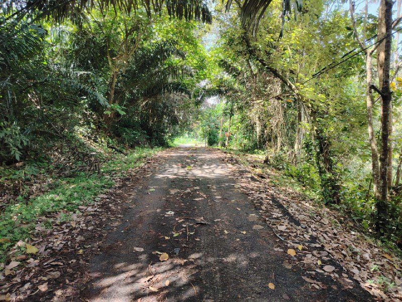 Tanah Pertanian 3.6 Ekar Di Belakang Kawasan Perindustrian Dioh, Kuala Pilah Untuk Dijual