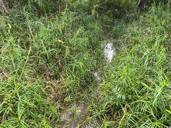Tanah Pertanian 1 Ekar Tepi Jalan Tar Di Seri Menanti, Kuala Pilah Untuk Dijual