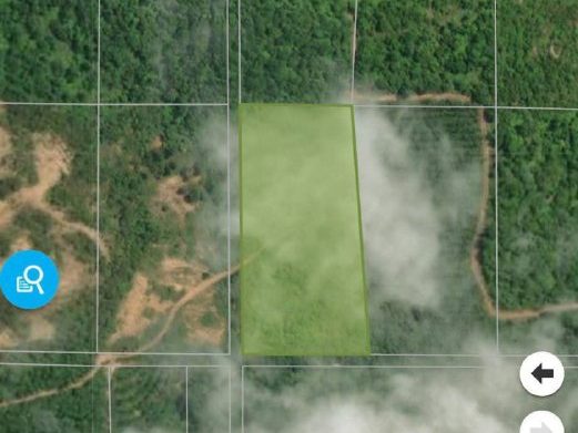 Tanah Pertanian 4.775 Ekar Di Kuala Kepis, Kuala Jempol, Negeri Sembilan Untuk Dijual