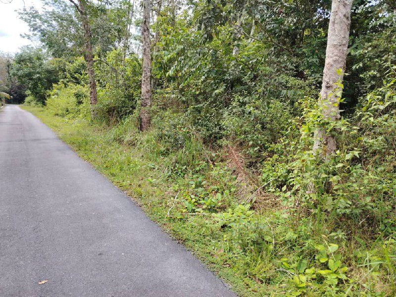 Tanah Pertanian 3.82 Ekar Tepi Jalan Tar Di Seri Menanti, Kuala Pilah Untuk Dijual