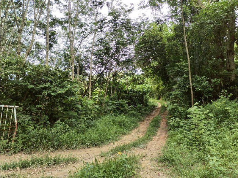 Tanah 1.56 Ekar Untuk Dijual, Pulau Sebang, Melaka