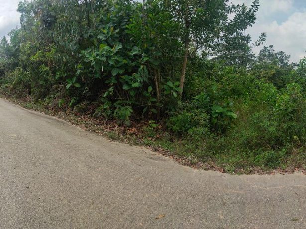 Tanah Lot 7,083 Kaki Persegi Freehold Kampung Sungai Buah, Sepang Untuk Dijual