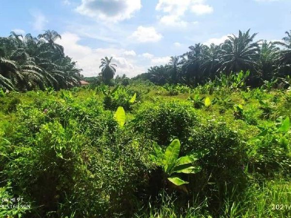 Tanah Lot Banglo 5,403 Kaki Persegi, Kg Jawa, Chuah, Port Dickson Untuk Dijual