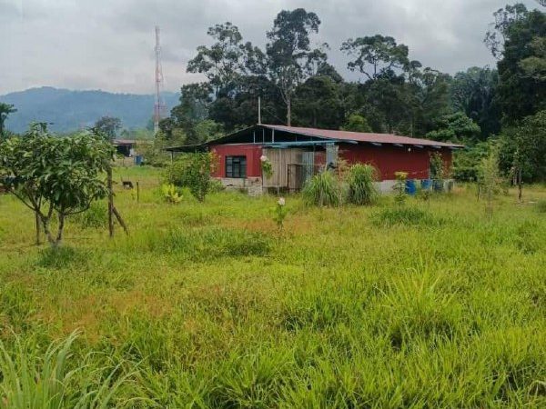 Tanah 2.437 Ekar Berserta Rumah Kampung, Sungai Gelang, Seremban Untuk Dijual