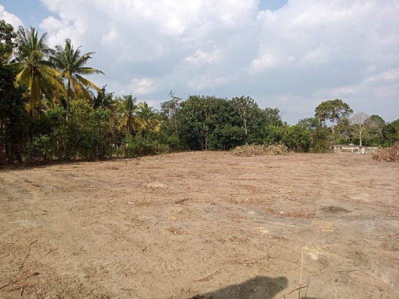Tanah 1.649 Ekar Tepi Jalan Gadek, Alor Gajah, Melaka Untuk Dijual