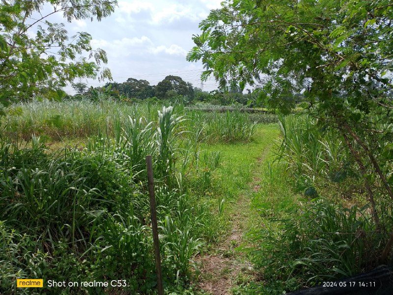 Tanah Pertanian 1 Ekar Di Kampung Pulau Meranti, Puchong Untuk Dijual