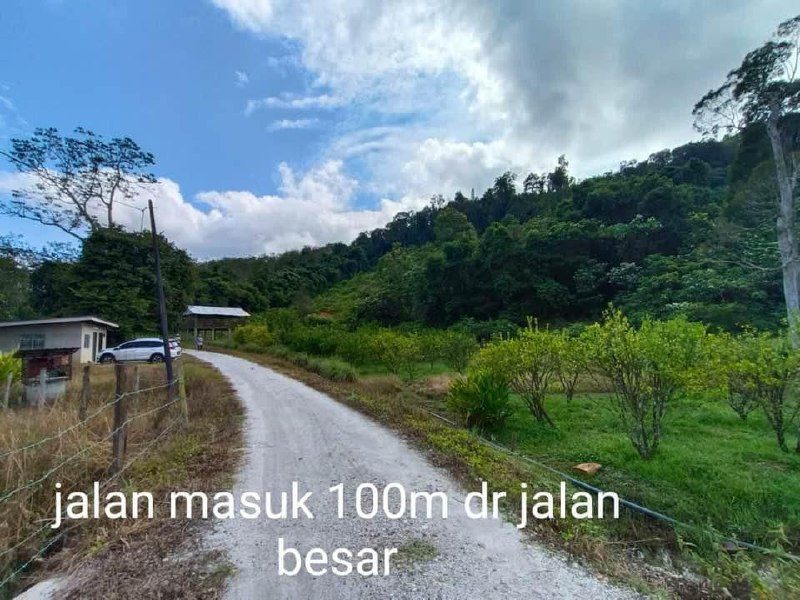 Tanah Kebun Hampir 5 Relong Di Jitra, Kedah Untuk Dijual