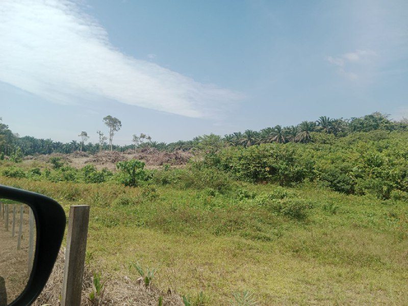 Tanah Pertanian 1 Ekar Di Lendu–Sungai Petai, Alor Gajah, Melaka Untuk Dijual