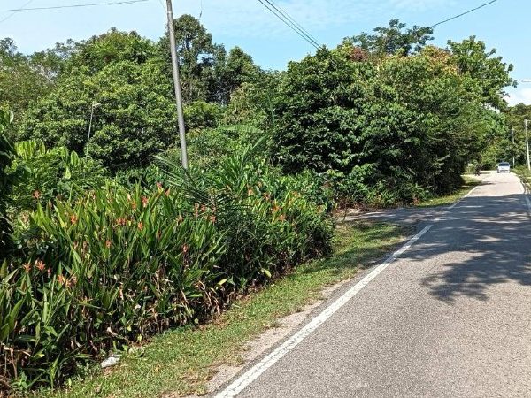 Lot Tanah 3.03 Ekar Freehold Bersama Rumah Banglo Jenderam Hulu Dengkil Sepang