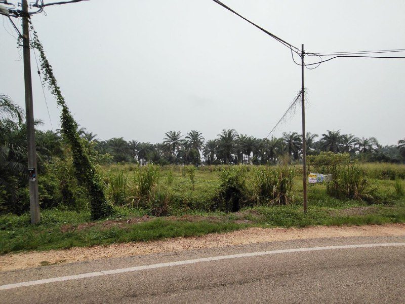 Tanah Lot Banglo Freehold 1 Ekar PT. Kassim Sengkang Bukit Gambir Johor