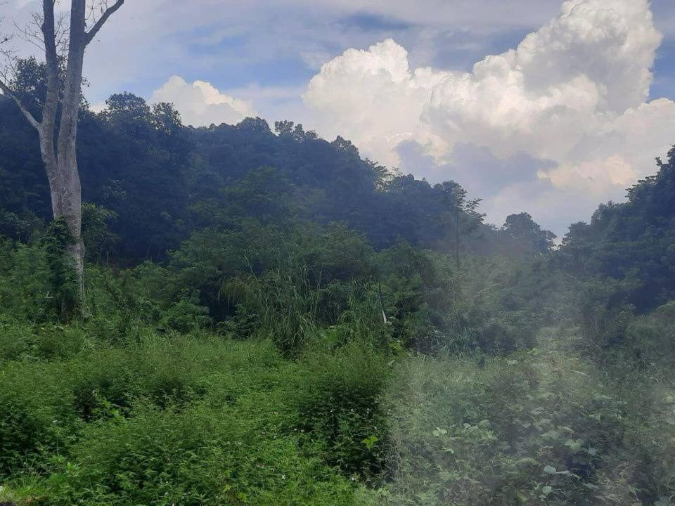 Tanah Pertanian Kampung Buluh Akar Sri Gombak 1.40 Ekar Freehold Tepi Sungai