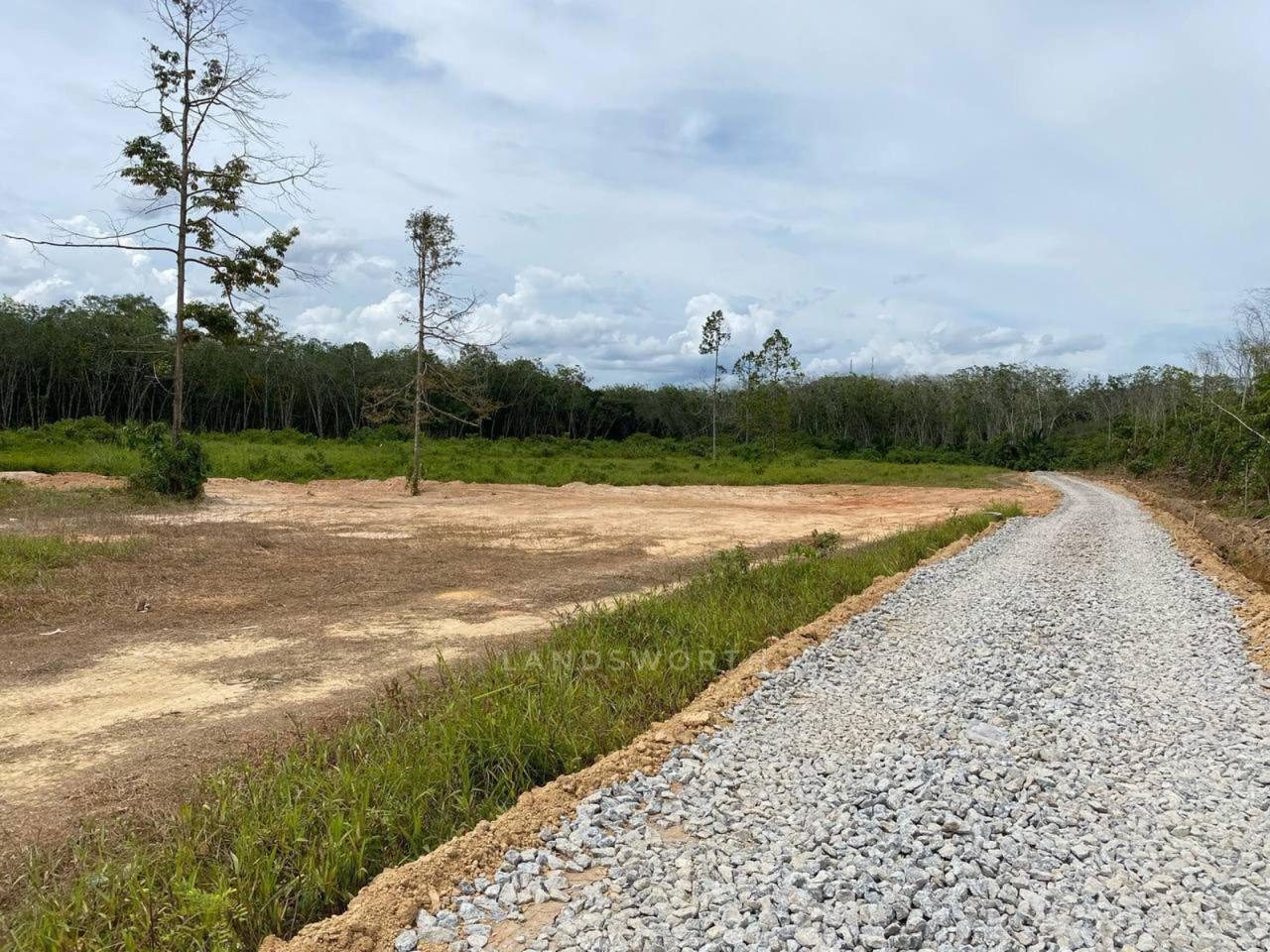 24 Lot Banglo Freehold Bukit Panau Tanah Merah