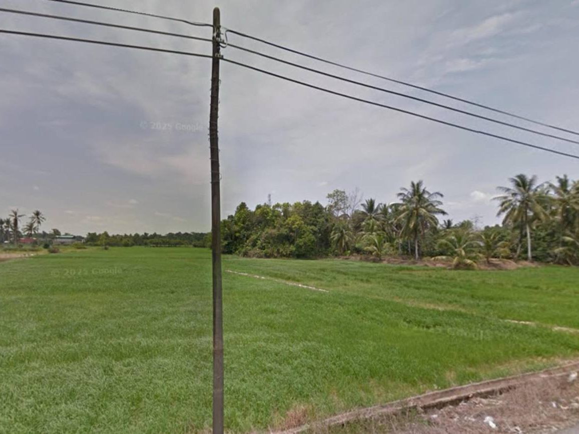 Tanah Sawah Padi 0.32 Hektar Tumpat – Freehold