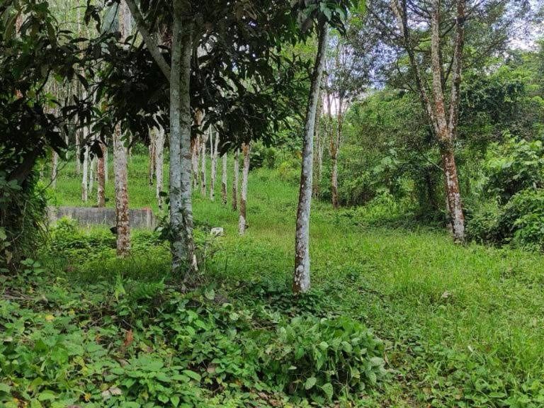 š³ TANAH PERTANIAN 3.9 EKAR UNTUK DIJUAL | BATANG KALI, HULU SELANGOR š³