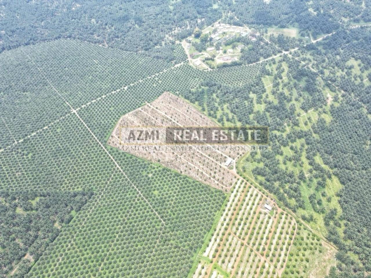 75 Ekar Freehold Pagoh Muar ā Durian & Sawit Plantation