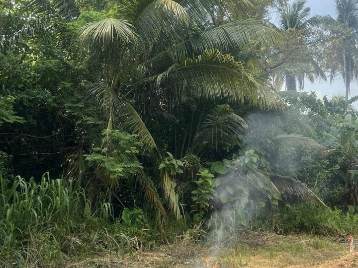 🌾 Tanah Pertanian Freehold 0.27 Ekar Geran Individu Penanti Seberang Perai Tengah Pulau Pinang