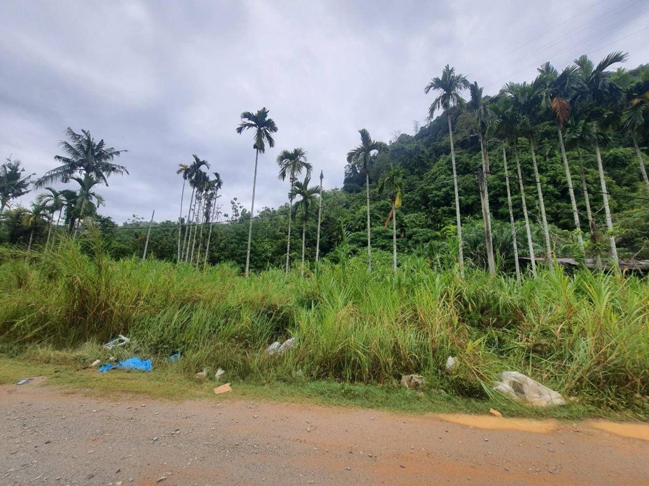 Tanah Pertanian 3.94 Ekar Lenggong Perak Tepi Jalan Utama