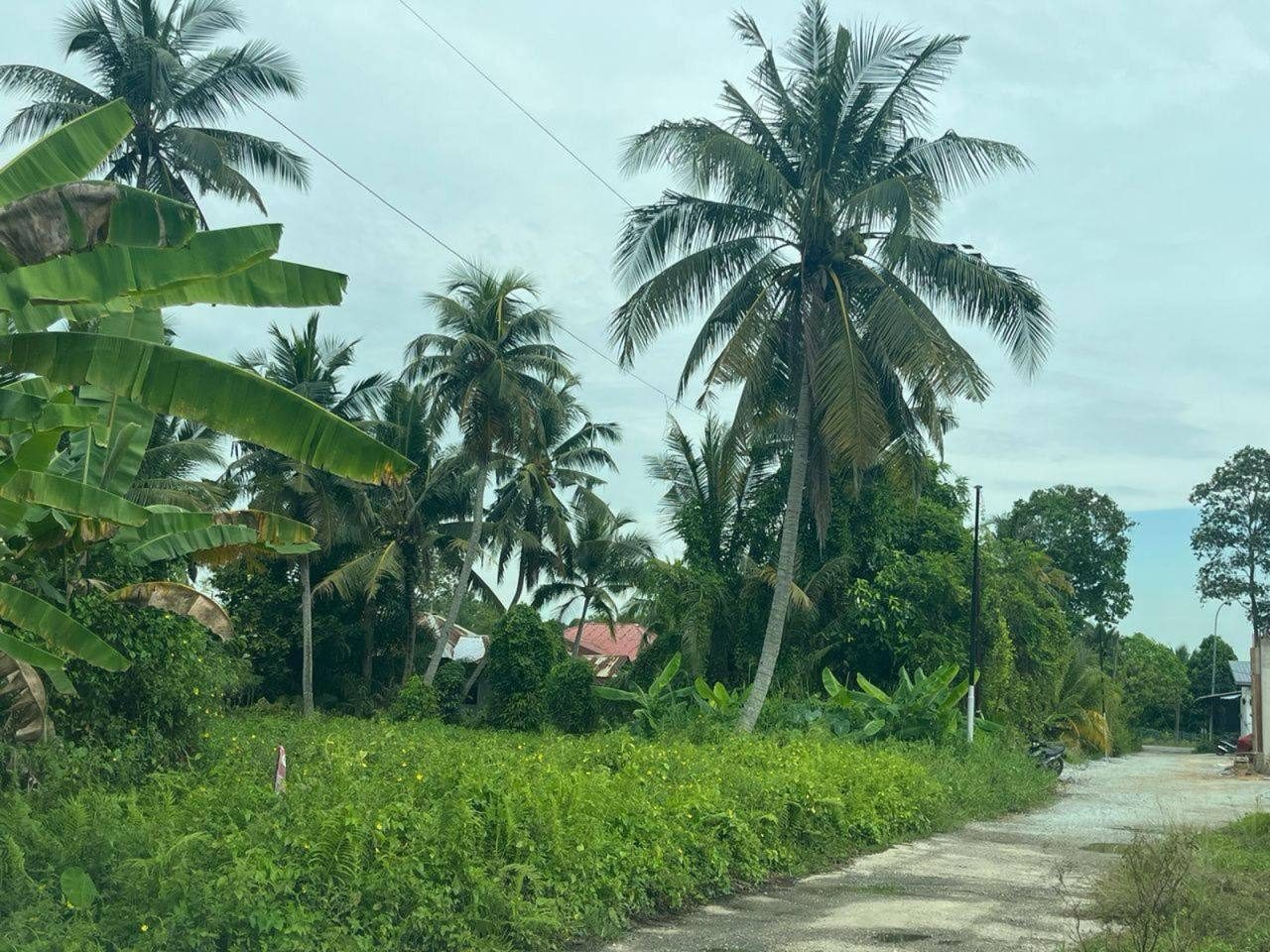 Tanah Pertanian Freehold 1 Ekar Meru Klang Selangor Tepi Jalan Siap Rumah