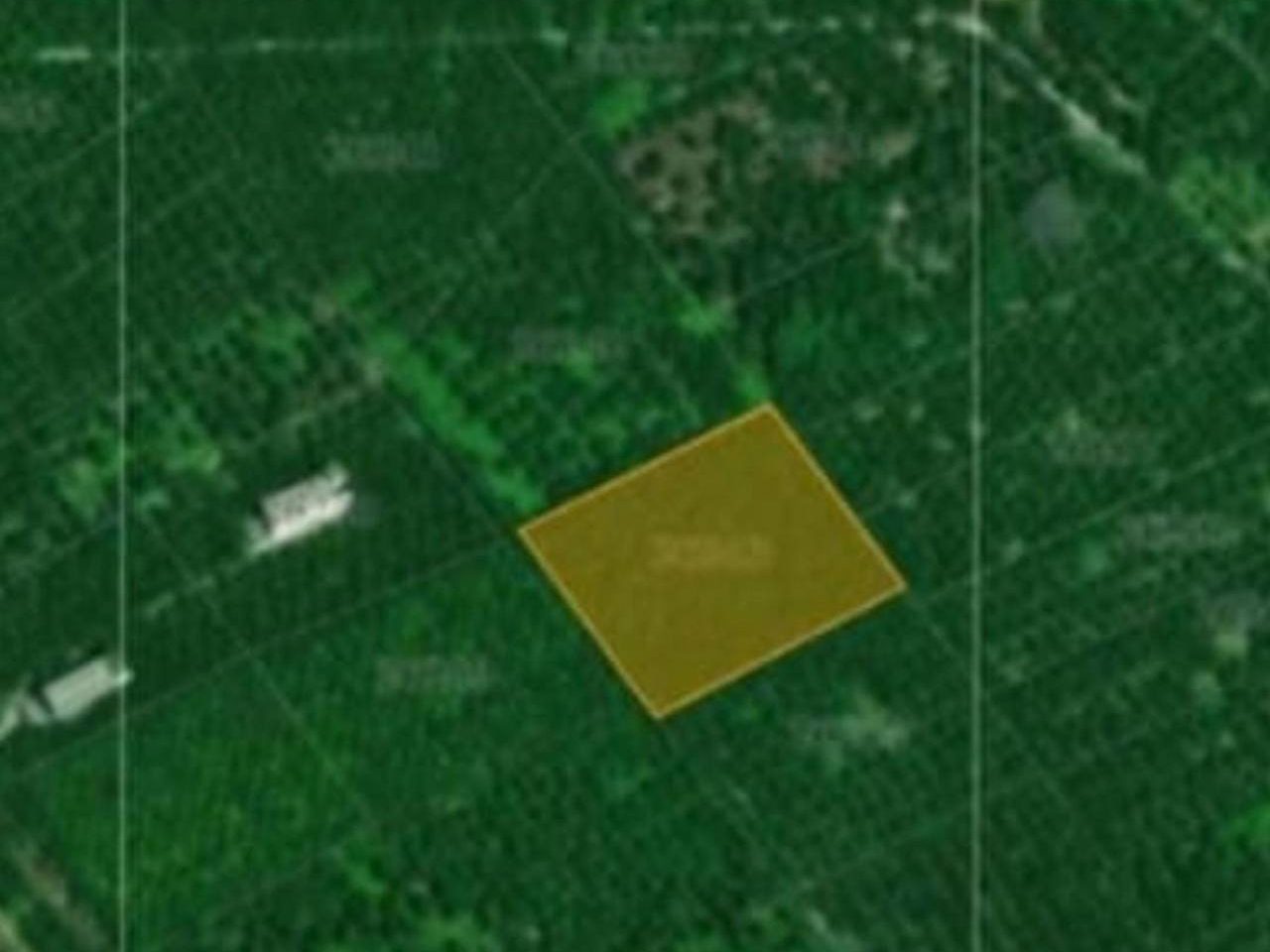 Tanah Sawit 2 Ekar Kg Sungai Mandor Wahid Tanjung Karang Selangor