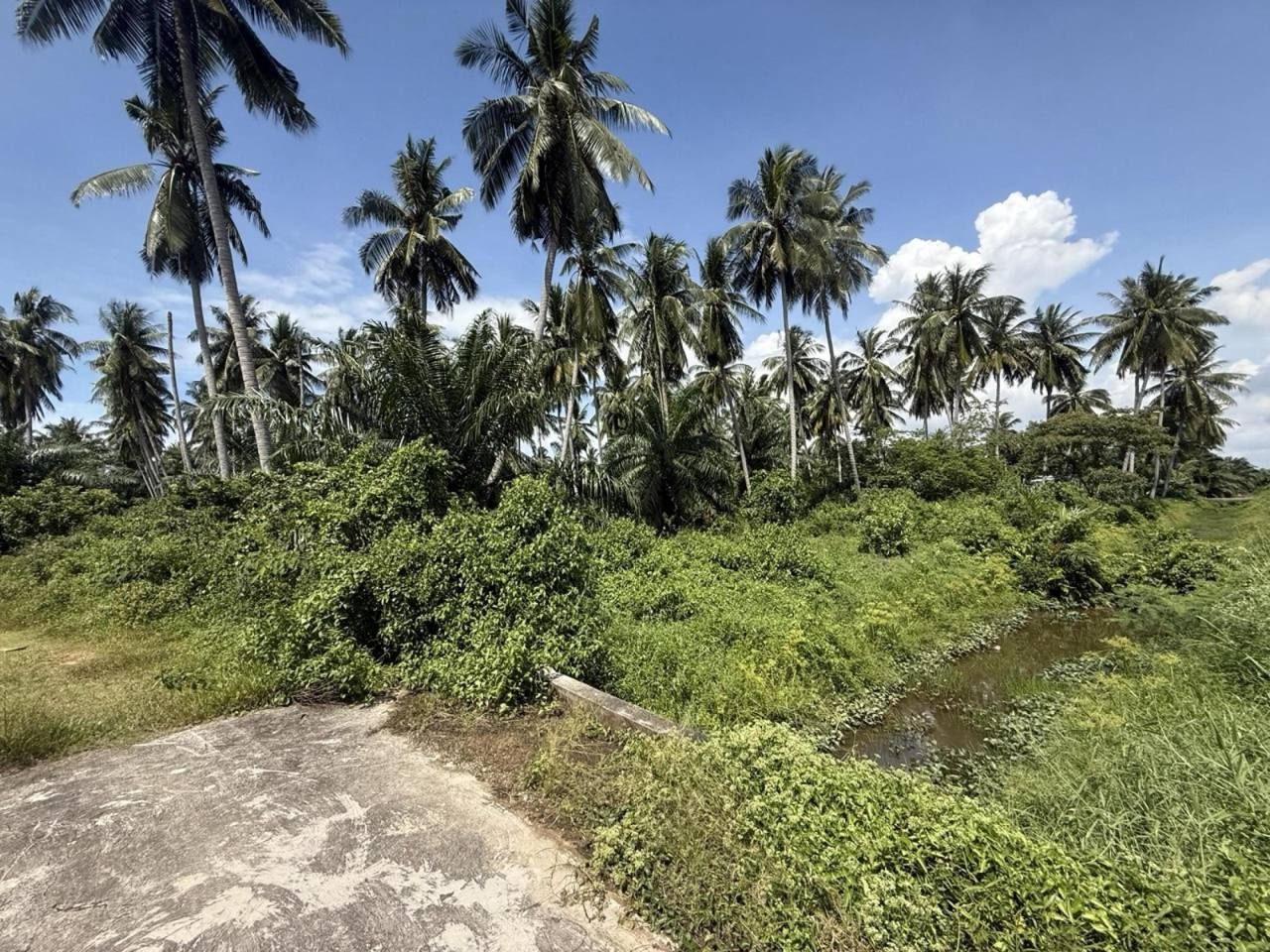 Tanah Pertanian 1.18 Ekar ā Kampung Perepat, Kapar, Selangor