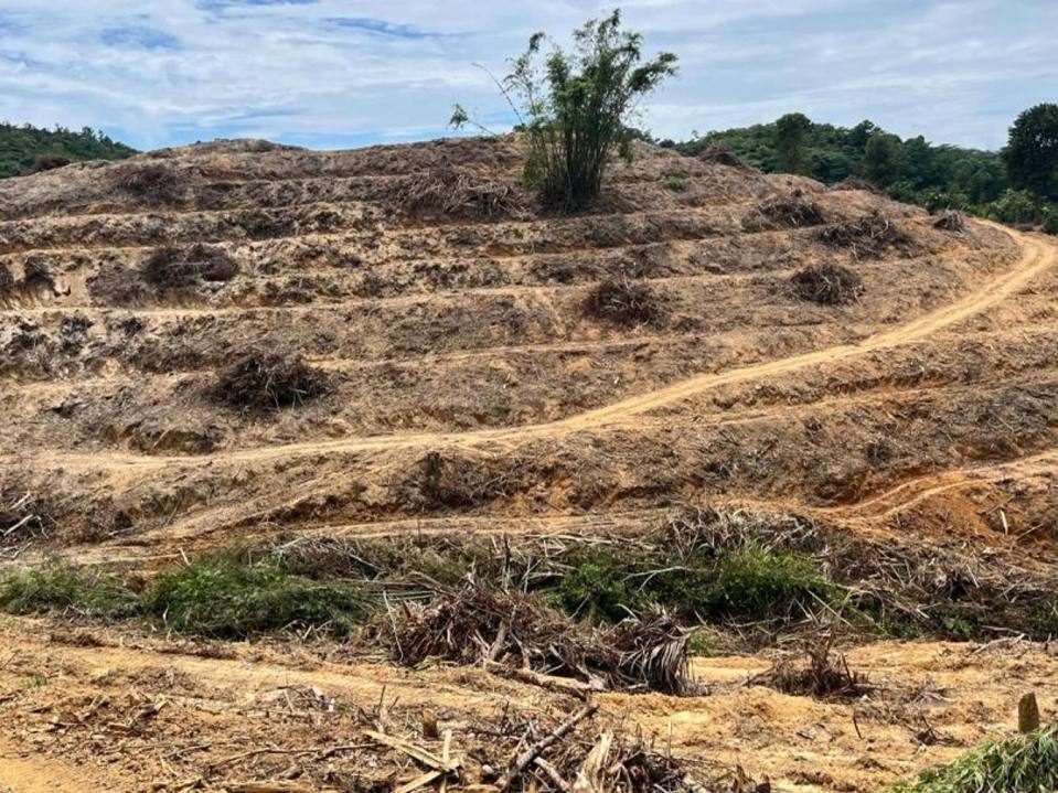 Tanah Pertanian 6 Ekar Ulu Yam Selangor Kawasan Bukit Sesuai Dusun Durian