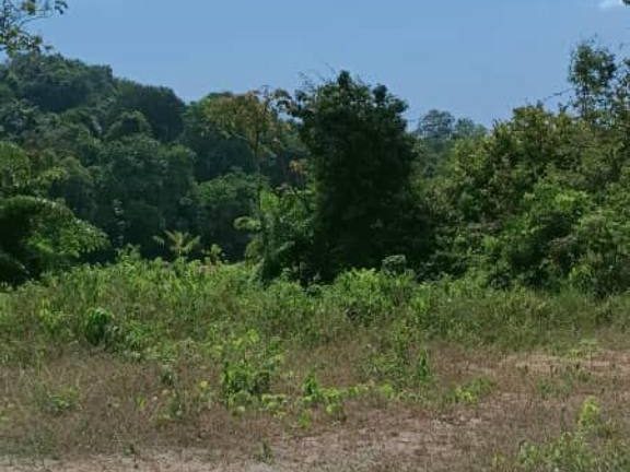Tanah 1.89 Ekar Kedawang Langkawi Tepi Jalan Besar 10 Minit Airport Freehold