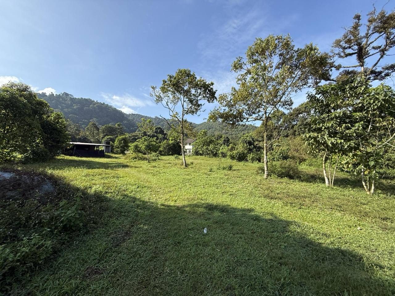 Tanah 3.38 Ekar Sungai Choh Rawang Serendah Freehold Akses PLUS