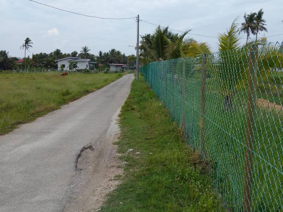 Tanah Pertanian 1.12 Hektar Padang Mat Sirat Langkawi Freehold Dekat Airport