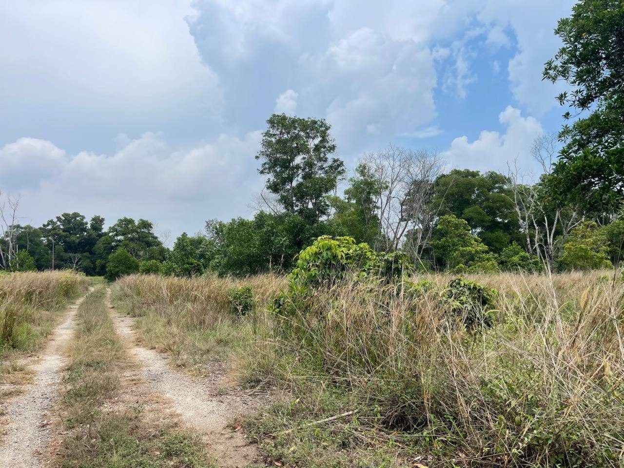 Tanah 15 Ekar Gebeng Kuantan Freehold Tepi Jalan