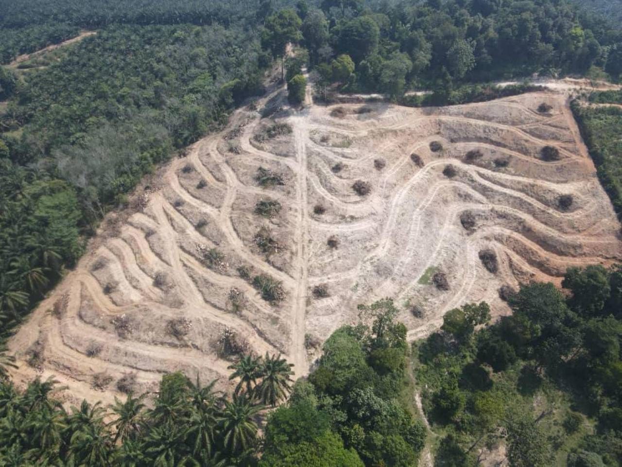 Tanah 5.5 Ekar Kg Sungai Timun Rembau Freehold (2 Lot Geran Individu)