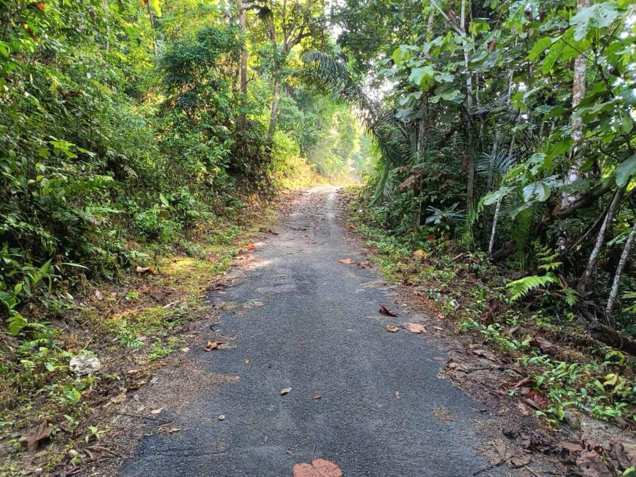 Tanah 1.18 Ekar Bukit Tanah Melintang Kuala Pilah Freehold