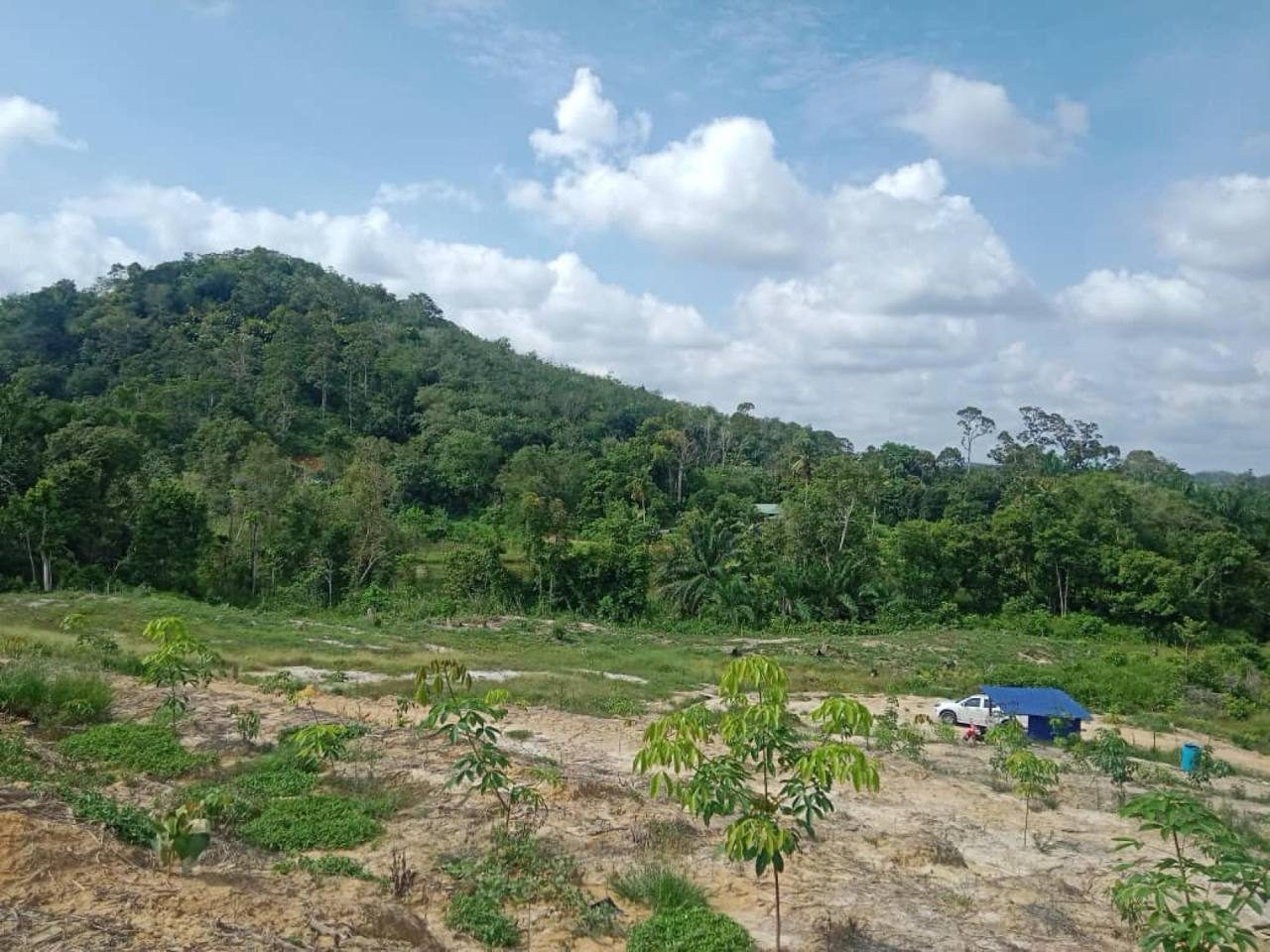 Tanah 6.09 Ekar Sega Lama Kuala Atok Raub Freehold Ada Kolam & Tanaman Sedia